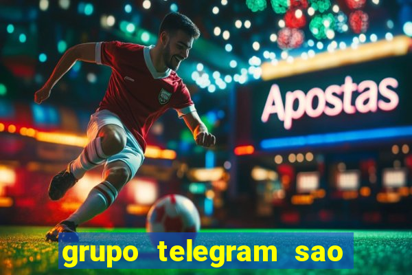 grupo telegram sao jose do rio preto